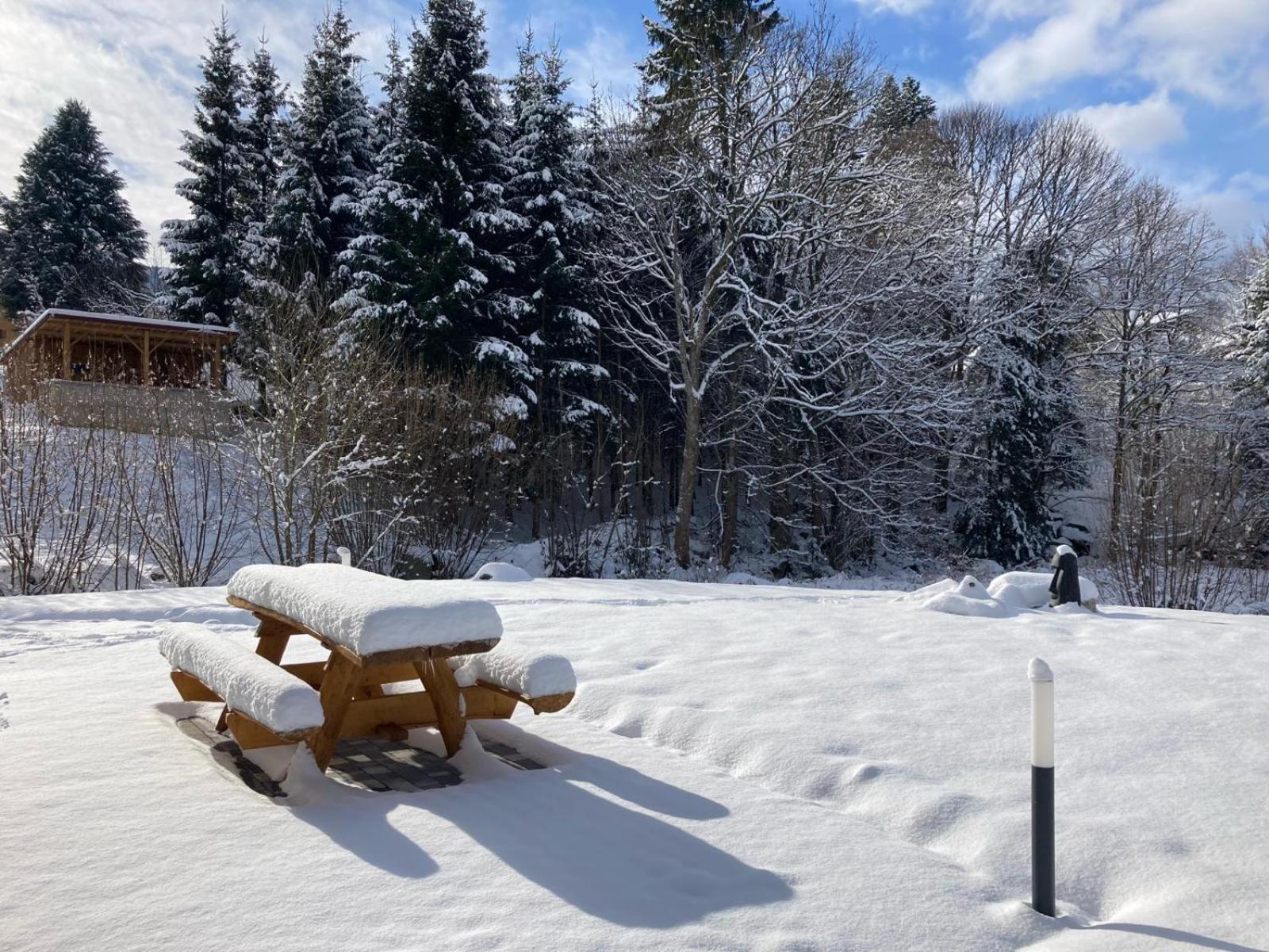 La cabane des écureuils Xonrupt-Longemer Extérieur photo